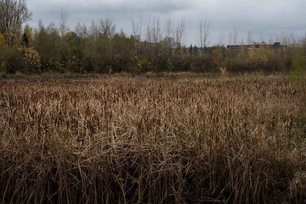 © chiara pavolucci - Image from the Walking Marginal photography project