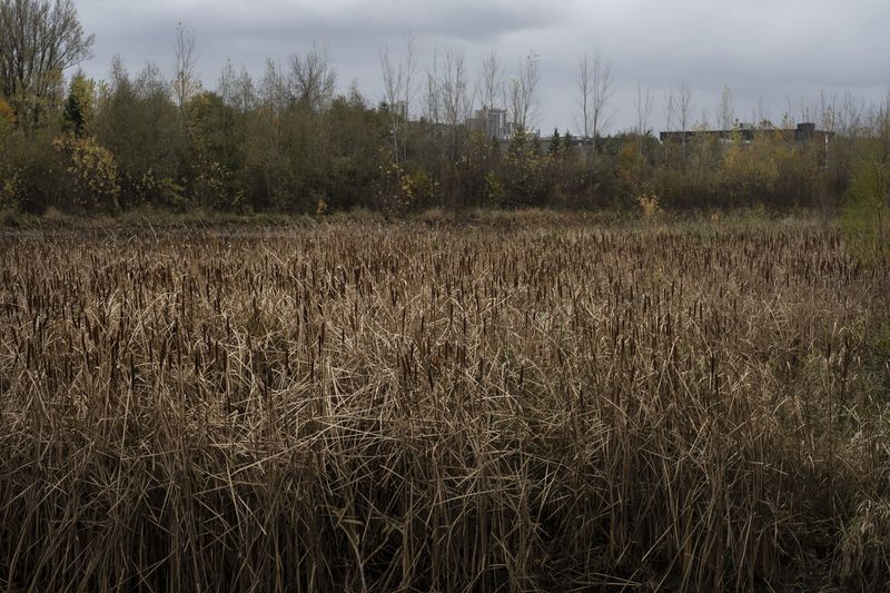 © chiara pavolucci - Image from the Walking Marginal photography project