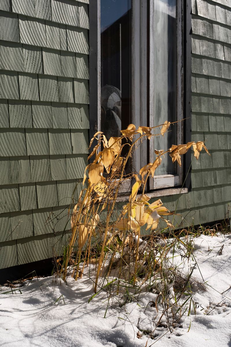 © chiara pavolucci - Image from the Walking Marginal photography project