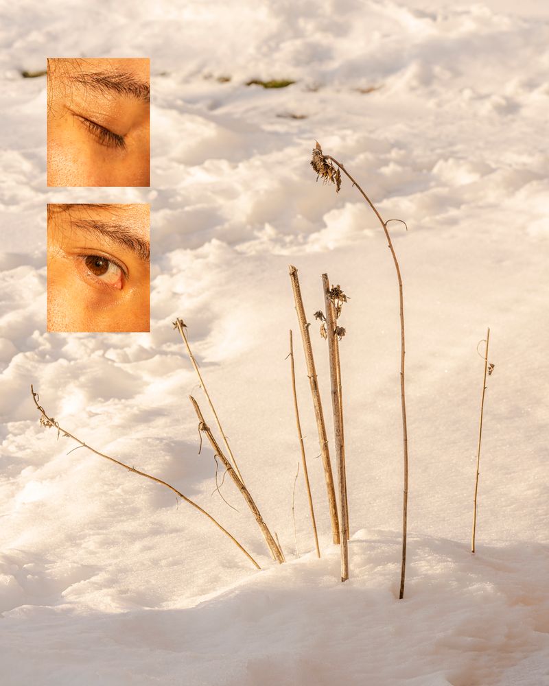 © Jesse Ly - waiting to feel re-born