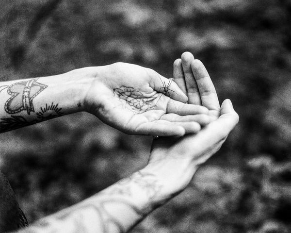 © Jesse Ly - have in one's handTo hold, to care for, to sit with. Allow tenderness to crawl amongst us.