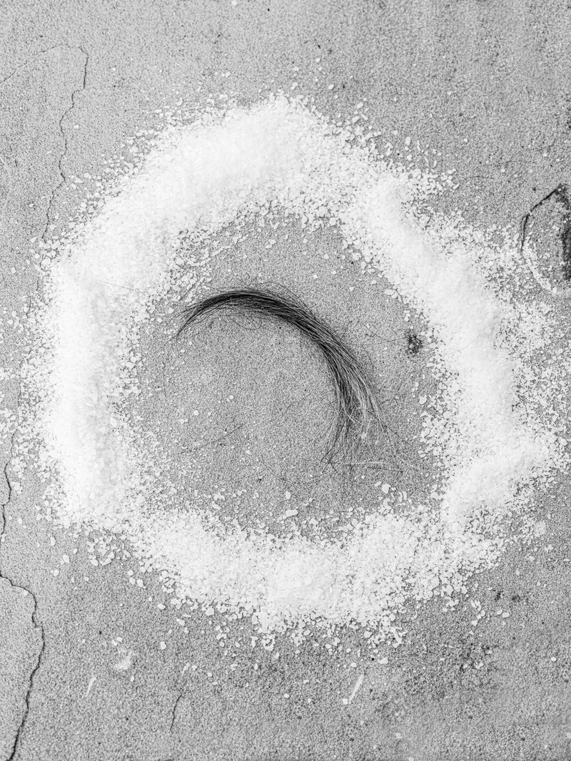 © Jesse Ly - protect what is most dear