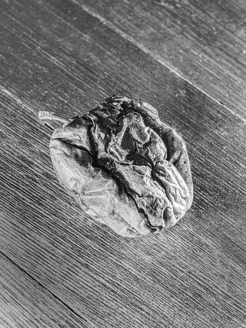 © Jesse Ly - Image from the try, take time – take time, try photography project