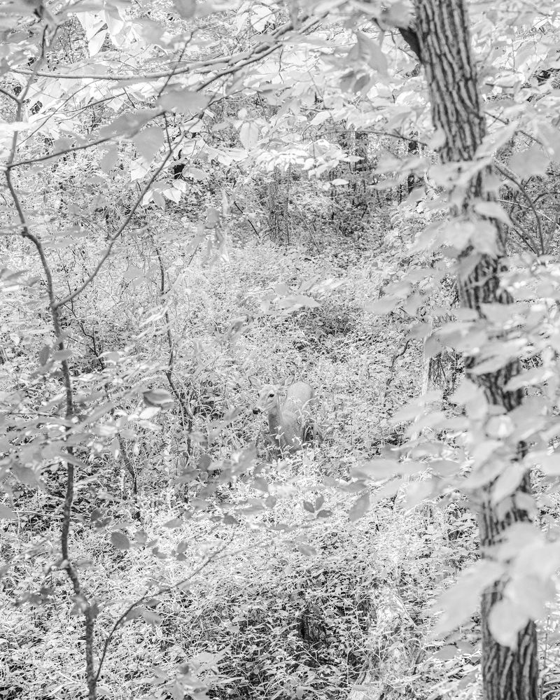 © Jesse Ly - Image from the try, take time – take time, try photography project