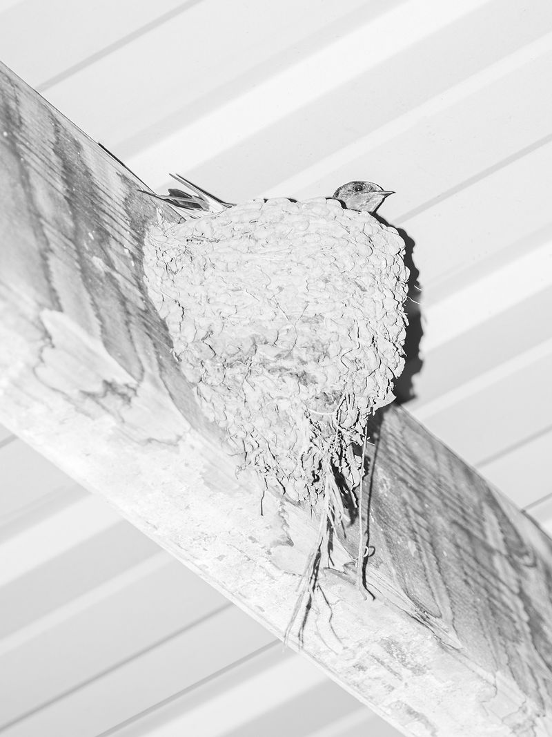 © Jesse Ly - Image from the try, take time – take time, try photography project