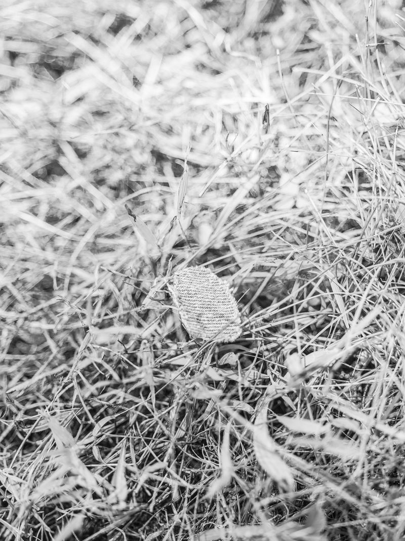 © Jesse Ly - Image from the try, take time – take time, try photography project