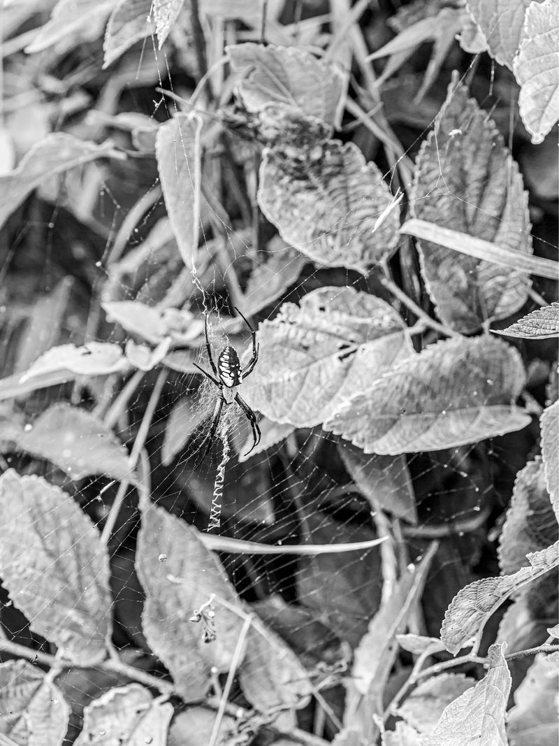 © Jesse Ly - Image from the try, take time – take time, try photography project