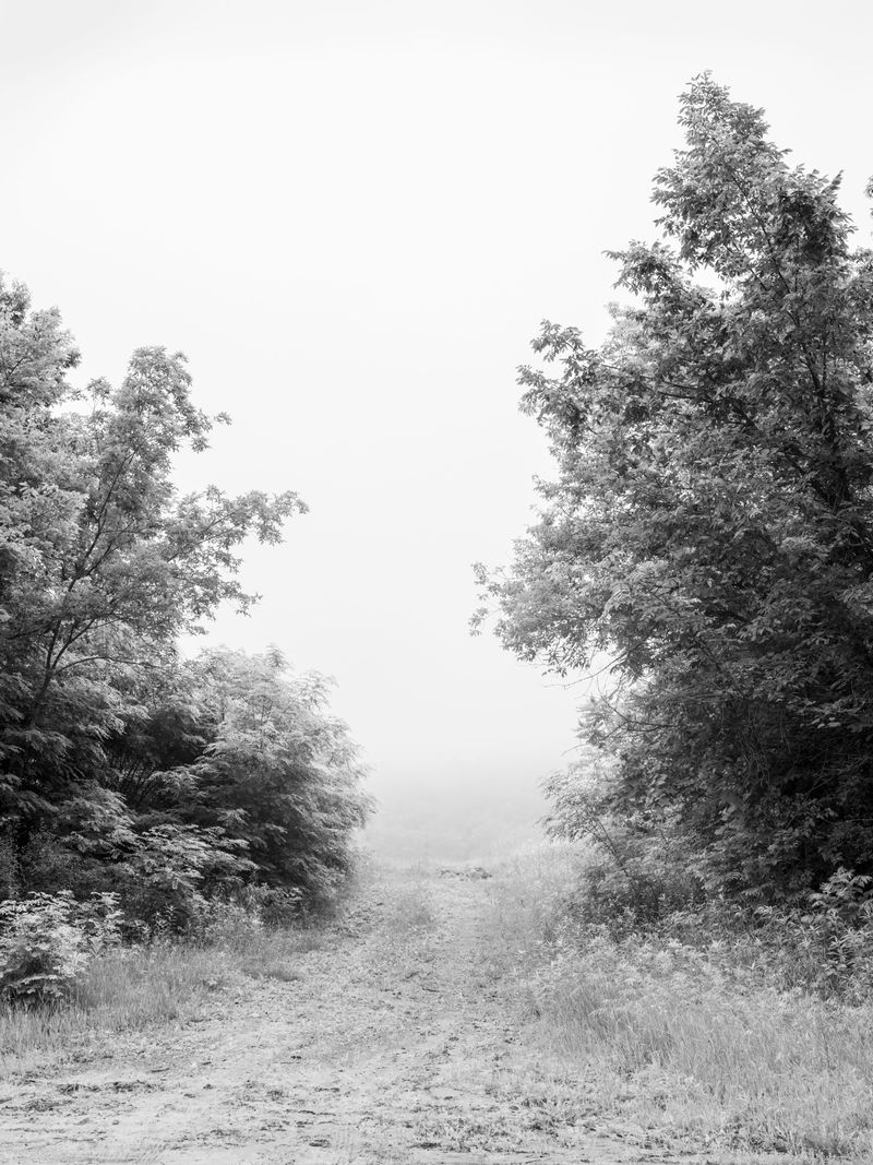 © Jesse Ly - Image from the try, take time – take time, try photography project