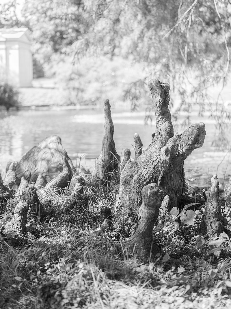 © Jesse Ly - Image from the try, take time – take time, try photography project