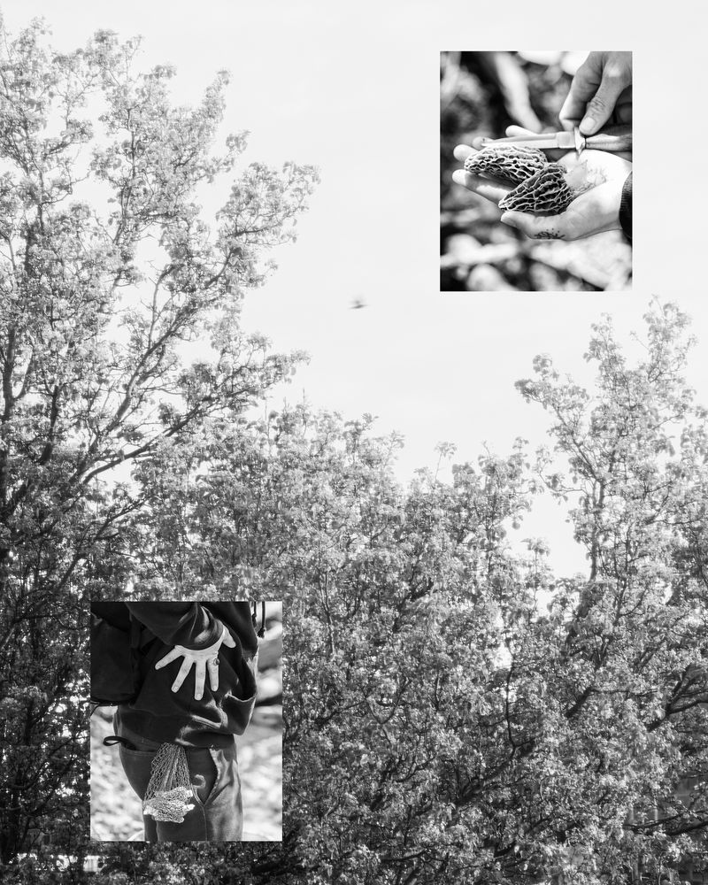 © Jesse Ly - renegotiating somewhere between