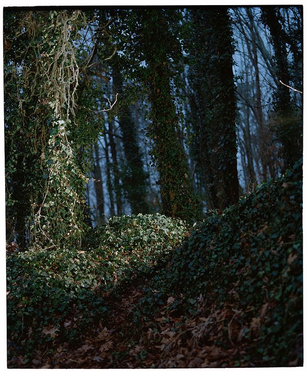 © Trent Munson - Image from the List Of Sins photography project