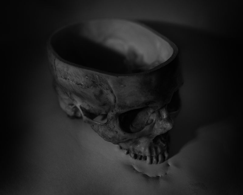 © Shane Rocheleau - Image from the This Most Monstrous Food photography project