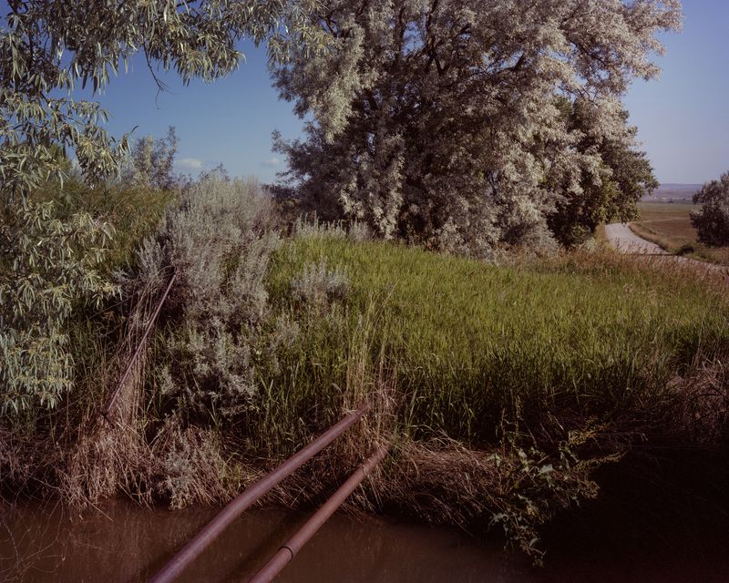 © Shane Rocheleau - Image from the This Most Monstrous Food photography project