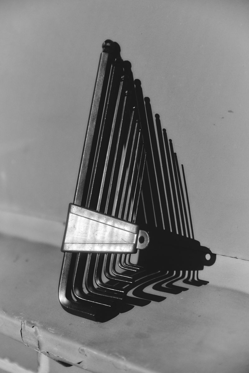 © Paulina Hildesheim - Inbus