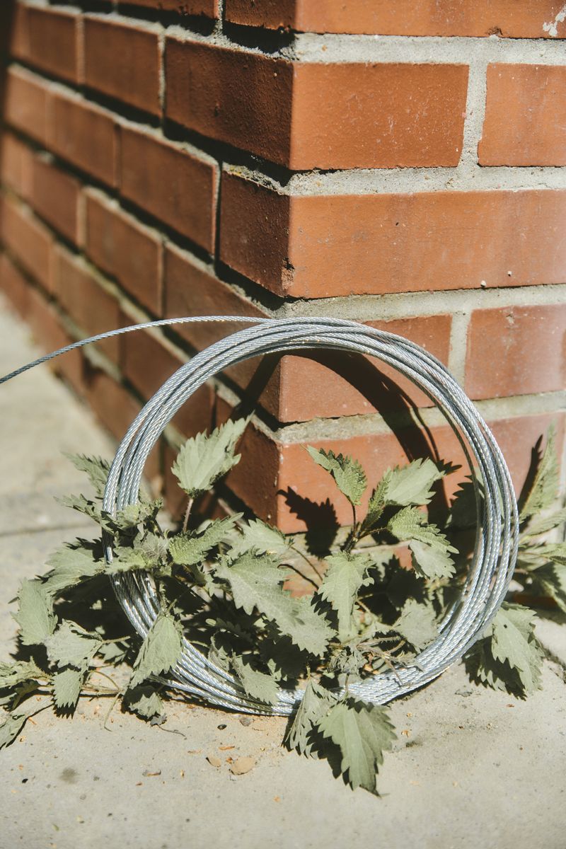 © Paulina Hildesheim - Nettle with Wire