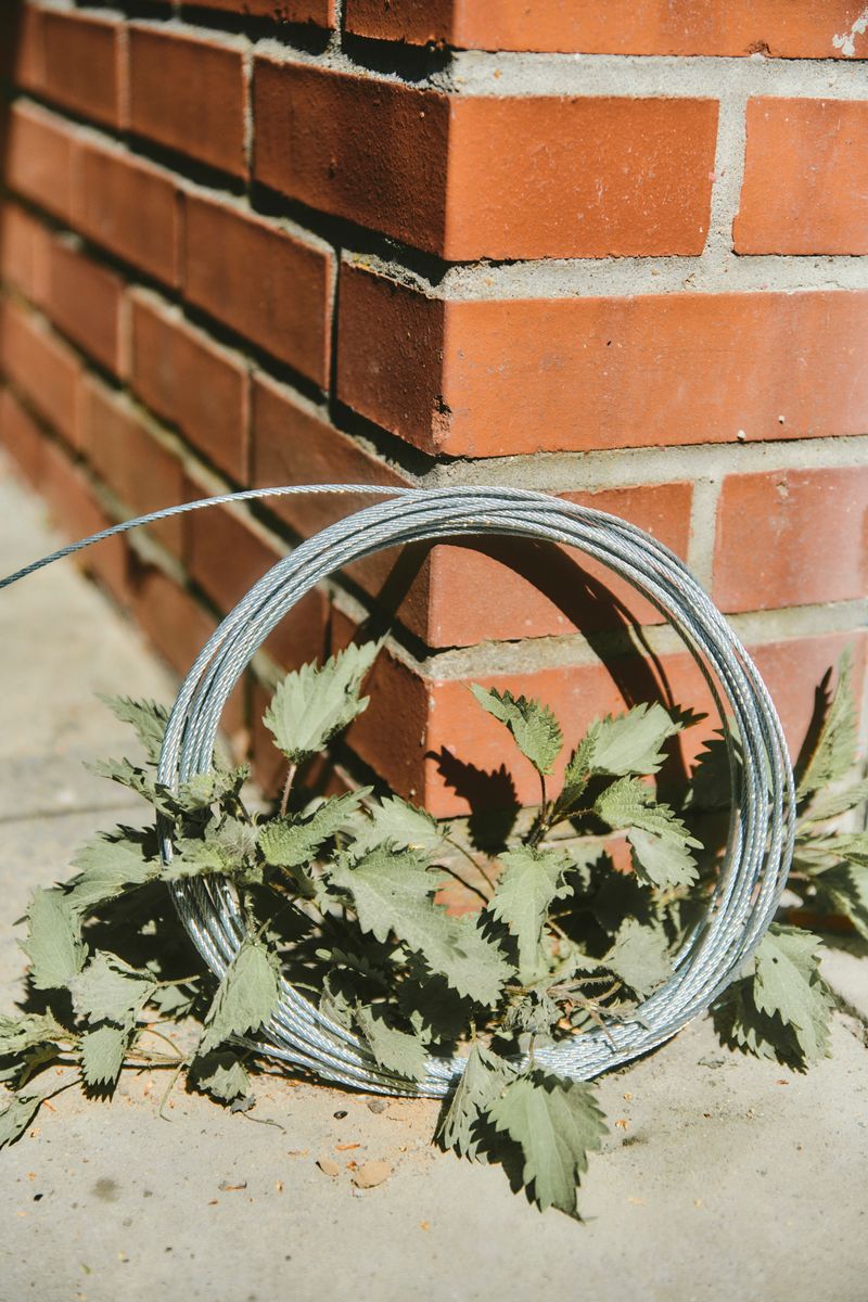 © Paulina Hildesheim - Nettle with Wire