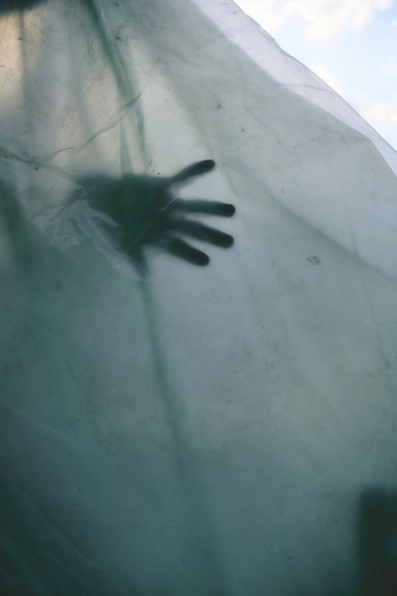 © Paulina Hildesheim - Wrapped