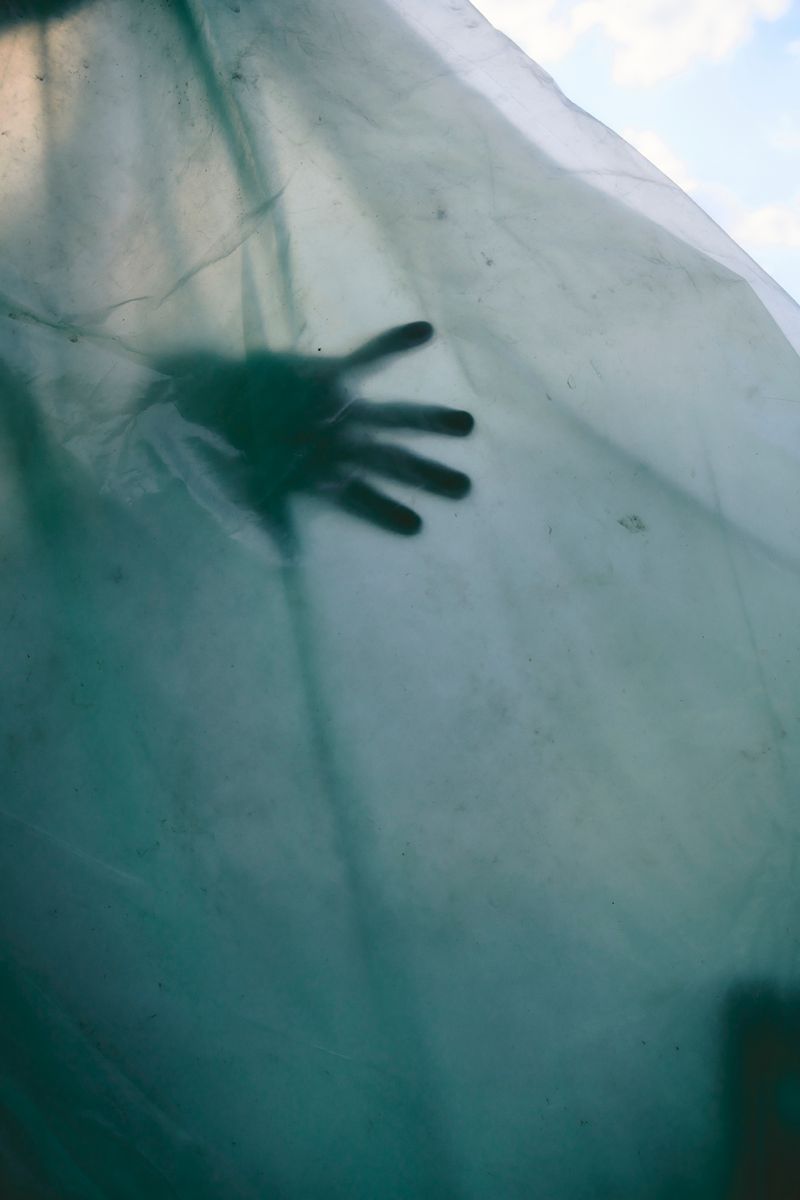 © Paulina Hildesheim - Wrapped