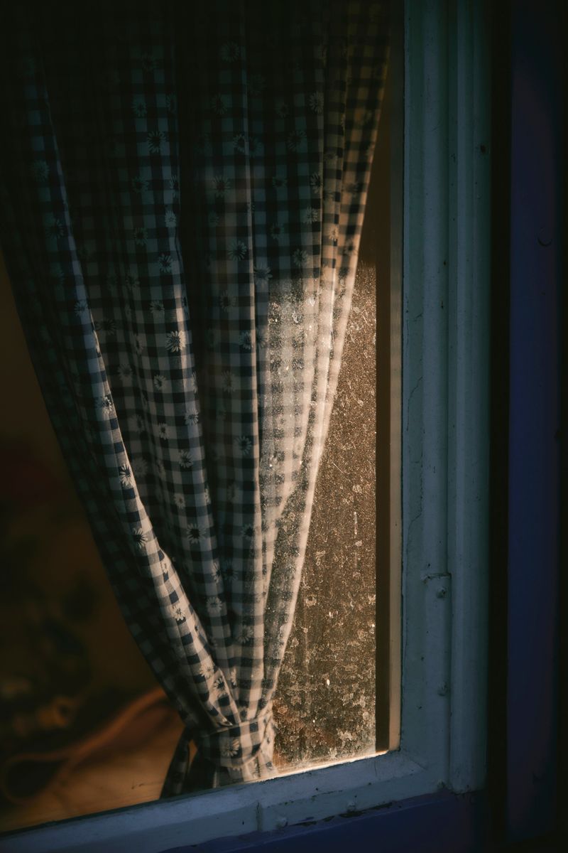 © Paulina Hildesheim - Curtain