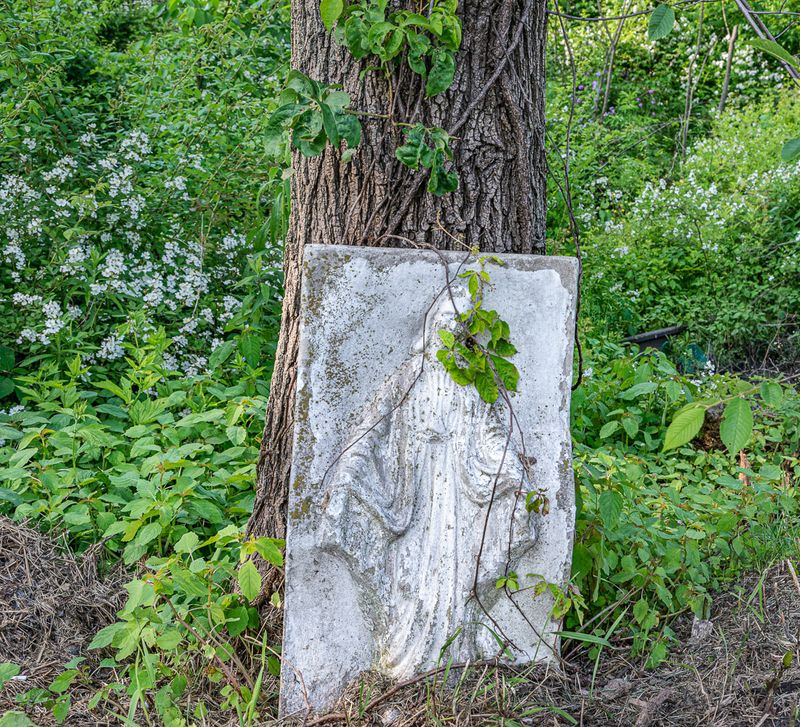 © Cynthia Johnston - Image from the Somewhere in the Middle photography project