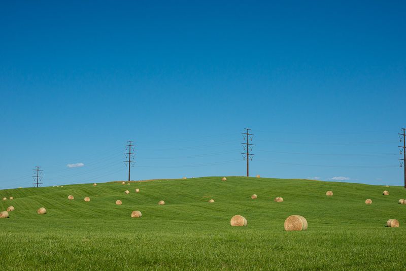 © Cynthia Johnston - Image from the Somewhere in the Middle photography project