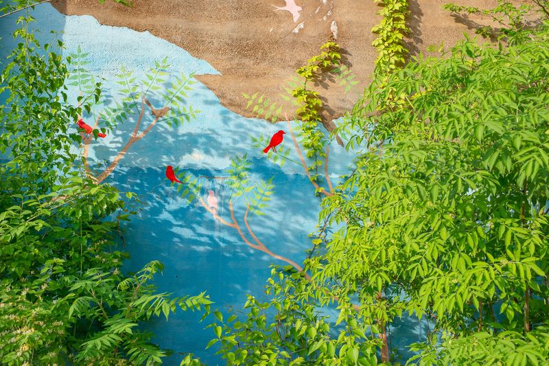 © Cynthia Johnston - Image from the Somewhere in the Middle photography project