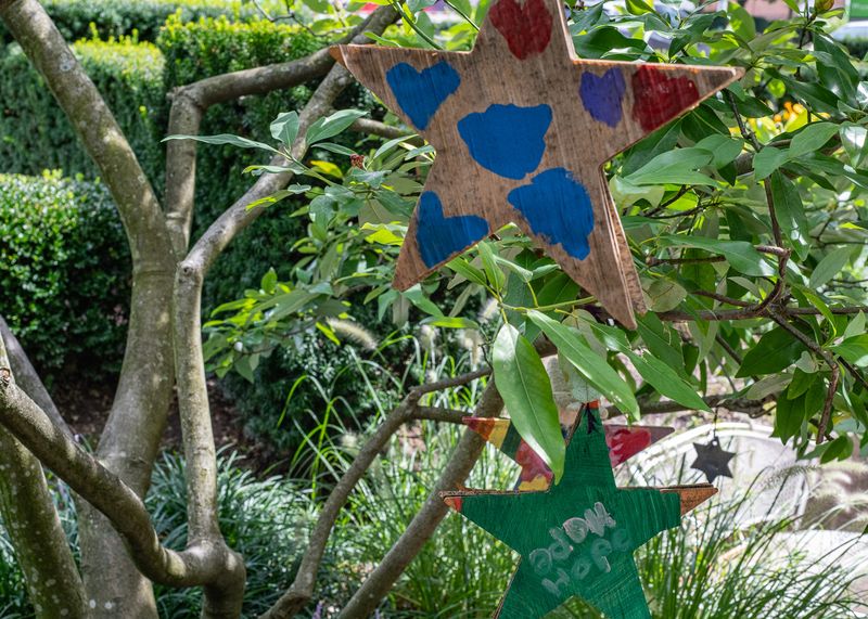 © Cynthia Johnston - Image from the Somewhere in the Middle photography project