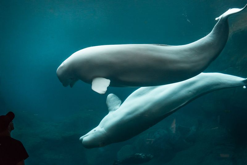 © Cynthia Johnston - Image from the Somewhere in the Middle photography project