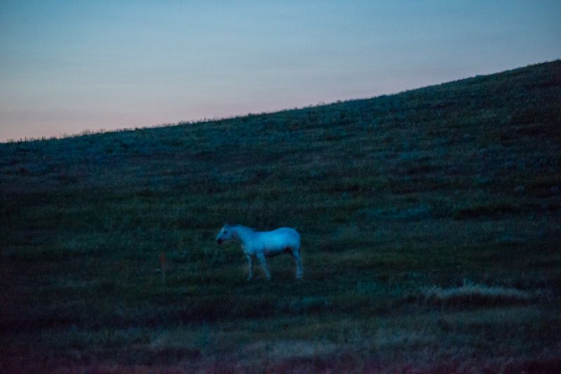 © Cynthia Johnston - Image from the Shadowlands photography project