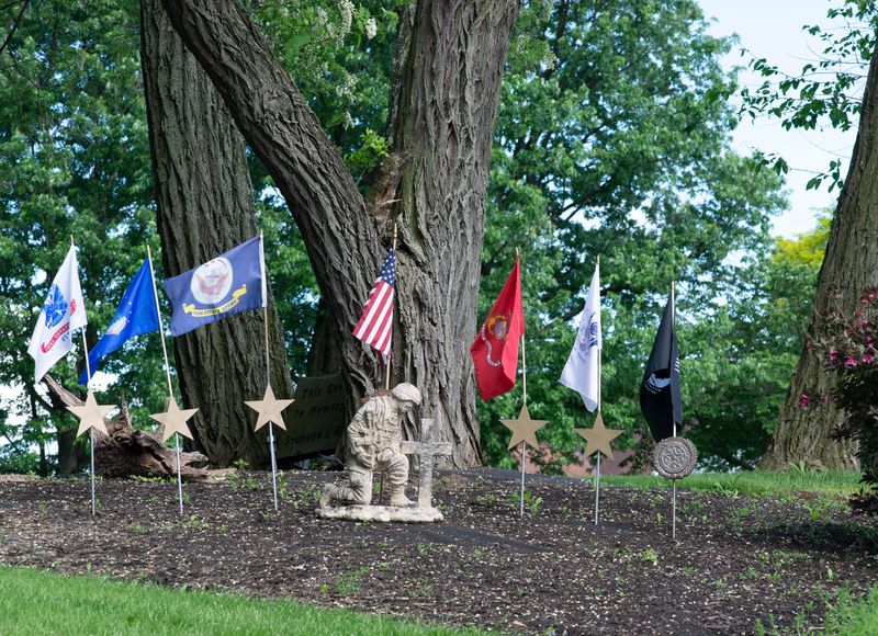 © Cynthia Johnston - Image from the Shadowlands photography project