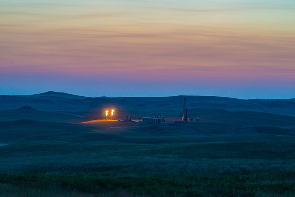 © Cynthia Johnston - Image from the Shadowlands photography project