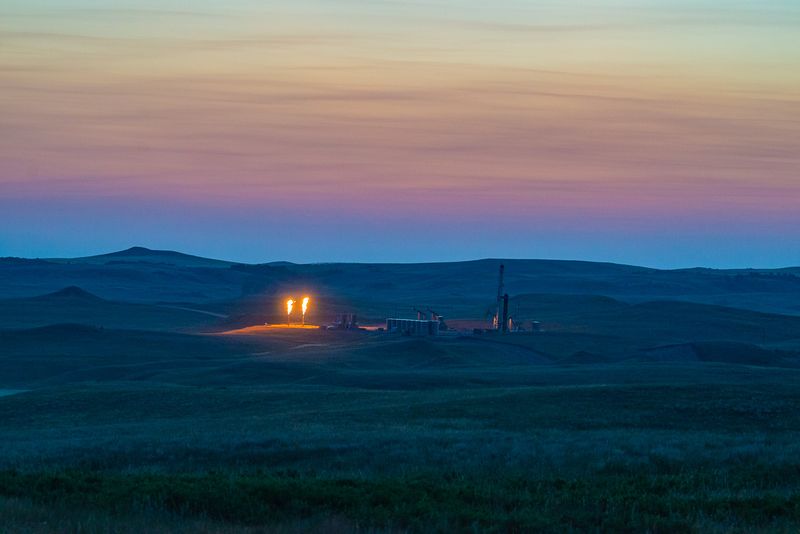 © Cynthia Johnston - Image from the Shadowlands photography project