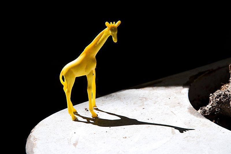 © Horacio Culaciatti - Image from the Gabinete de objetos hallados. photography project