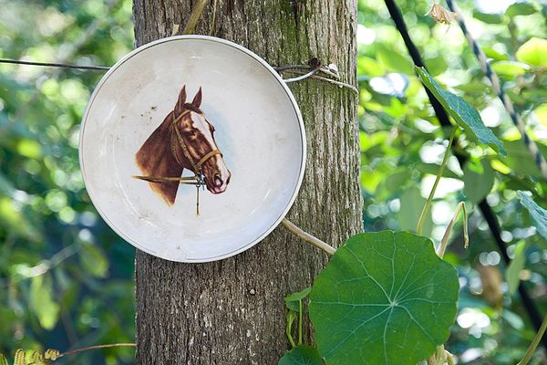 © Horacio Culaciatti - Image from the Gabinete de objetos hallados. photography project