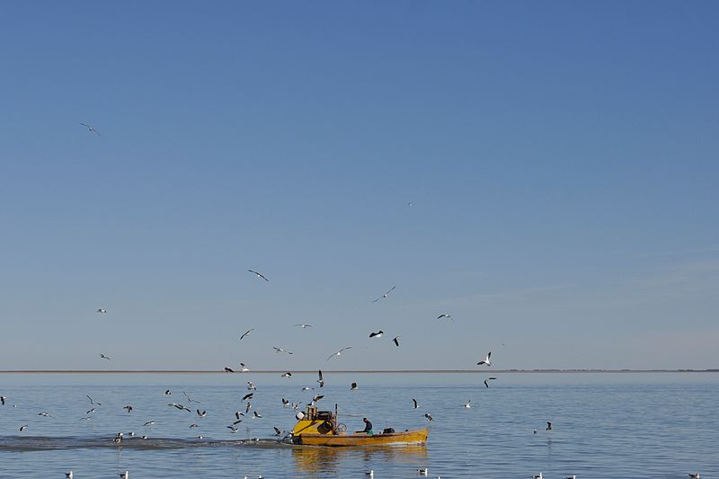 © Horacio Culaciatti - Image from the MARGEN photography project