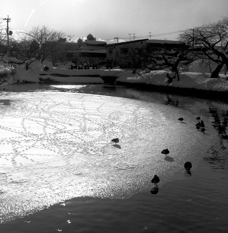 © Masako Tomiya - Image from the Tsugaru photography project