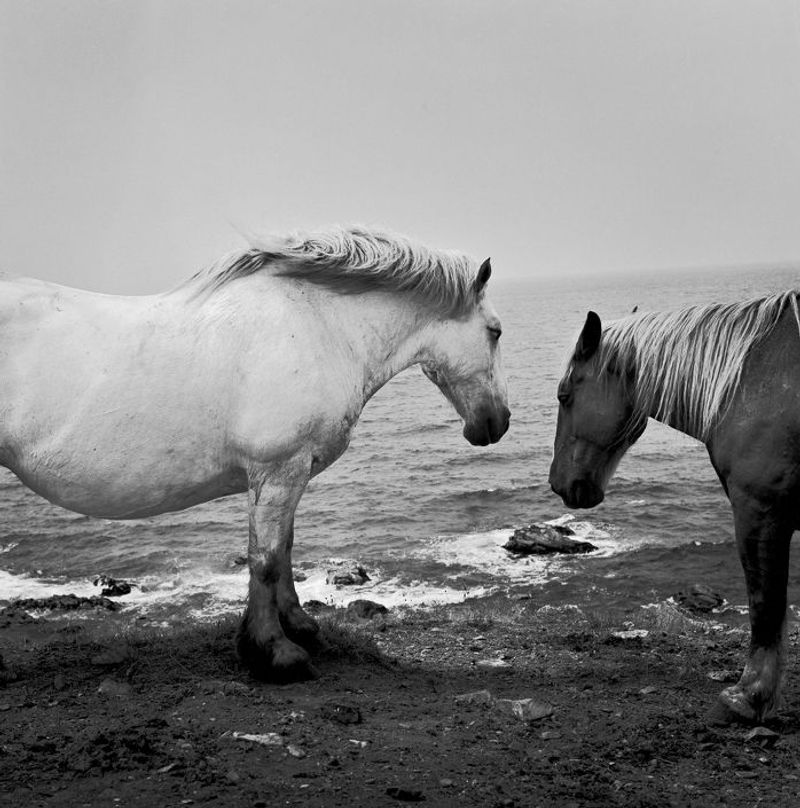 © Masako Tomiya - Image from the Tsugaru photography project