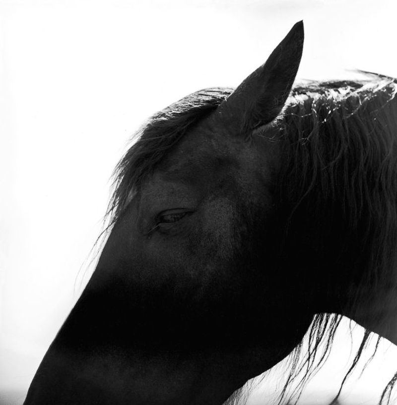 © Masako Tomiya - Image from the Tsugaru photography project