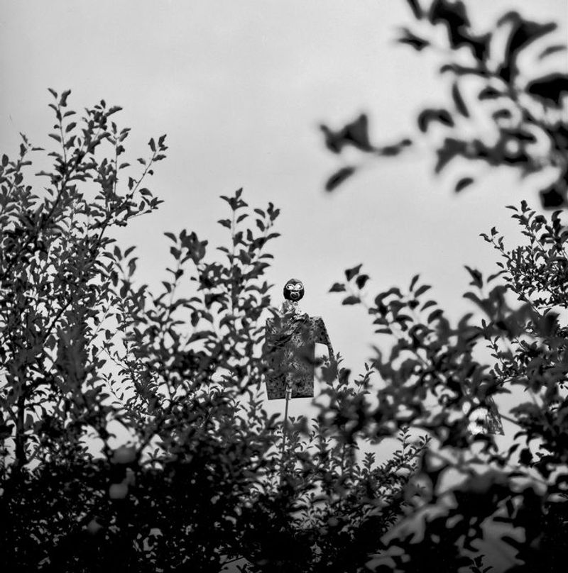 © Masako Tomiya - Image from the Tsugaru photography project