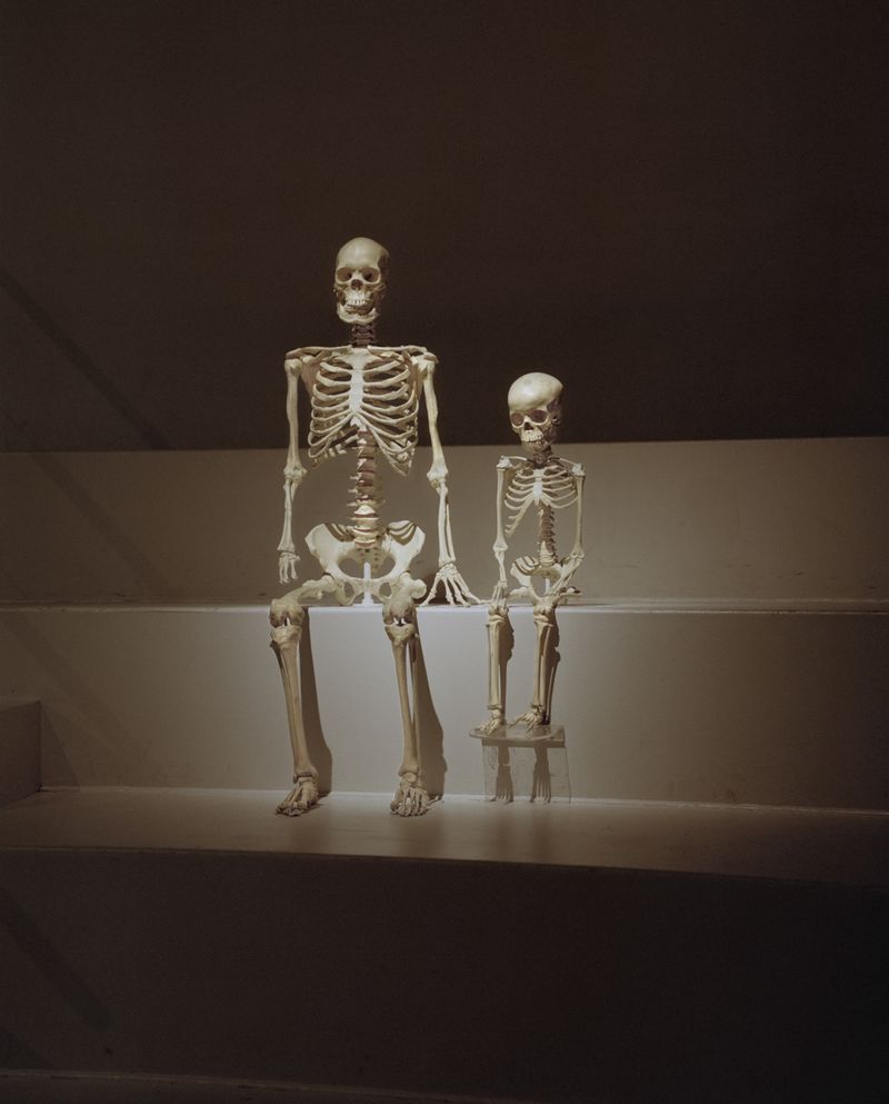 © Sjoerd Houben - Skeletons (in the happiest country of the world), 2017
