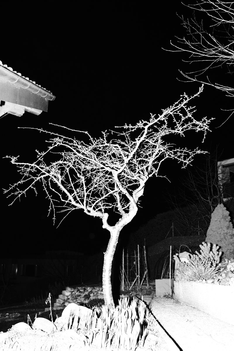 © Zoé Clémence - Image from the There's a Blizzard in My Mind photography project