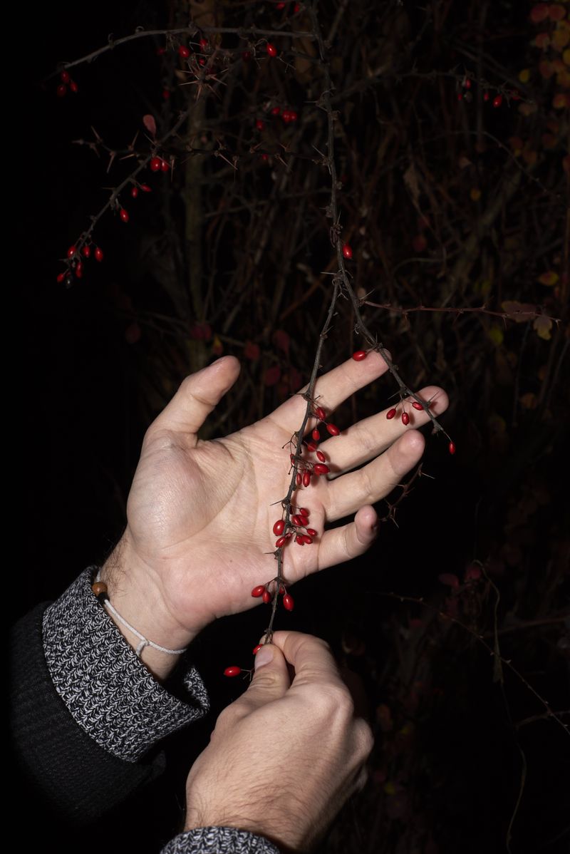 © Zoé Clémence - Image from the There's a Blizzard in My Mind photography project