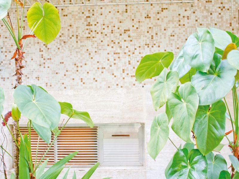 © Lorena Marchetti - Image from the El modo en que habitamos hoy photography project