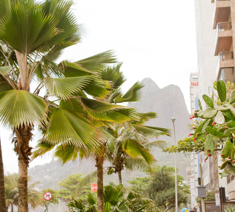 © Lorena Marchetti - Image from the microrelieves photography project