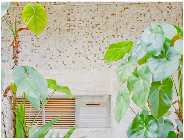 © Lorena Marchetti - Image from the microrelieves photography project