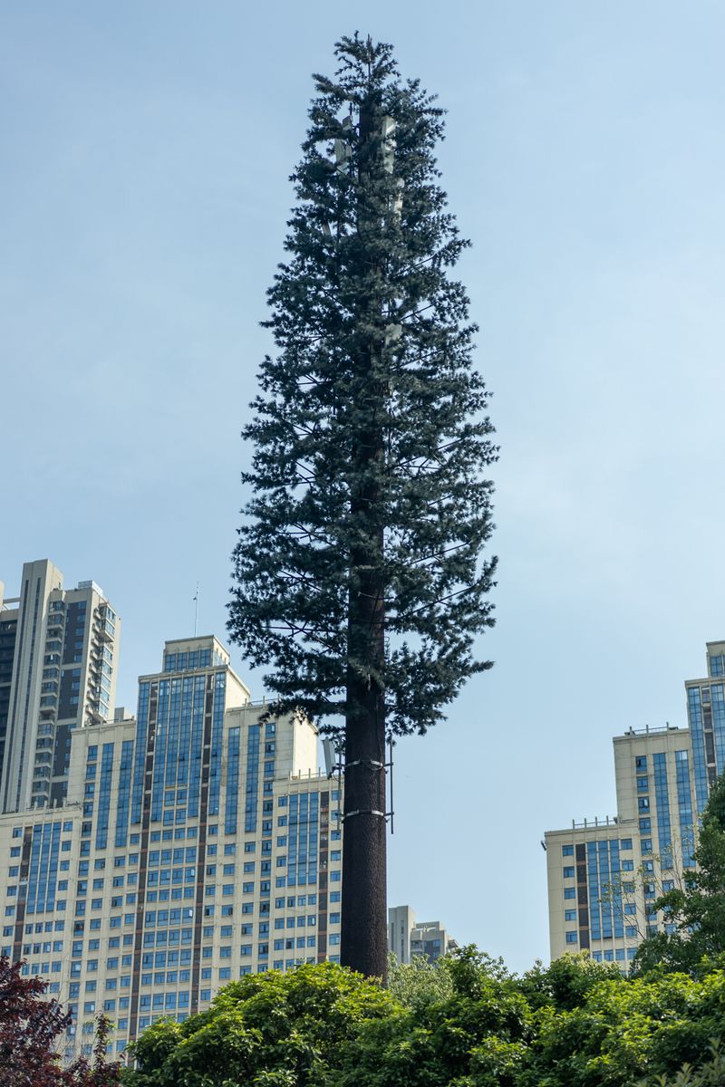 © Daniel LaCoste - wuhan stealth tower