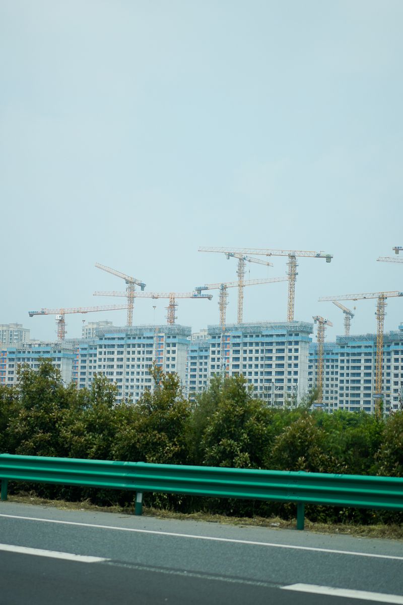 © Daniel LaCoste - flock of cranes