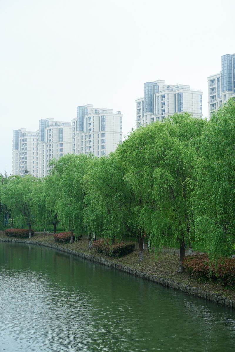 © Daniel LaCoste - shanghai suburbs park