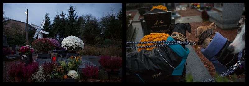 © Thomas Freteur - " J'ai été bien déçu par les gens dans cette vie... Mais mon Tommy, il ne m'a jamais déçu!"