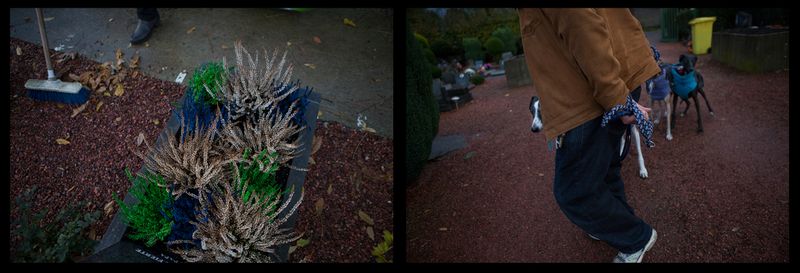 © Thomas Freteur - Image from the  Le Paradis des animaux - Belgium, 2012/2013 (Work in progre photography project